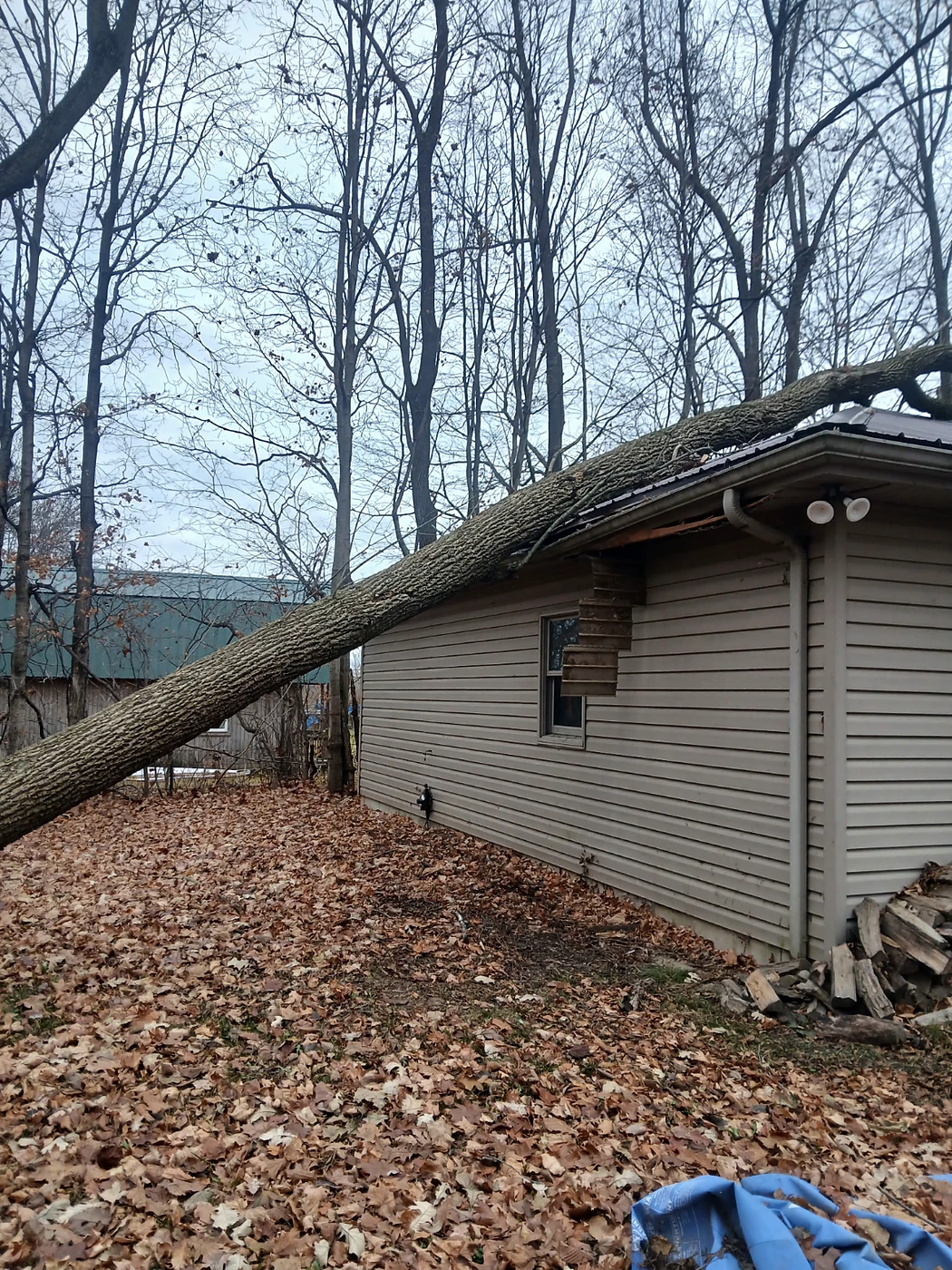 Fallen tree on building after storm